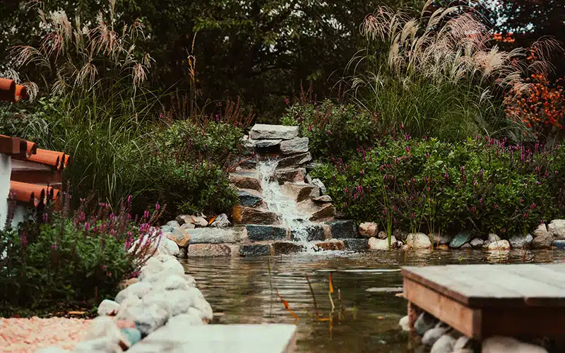 Plätschernde Wasserwelt